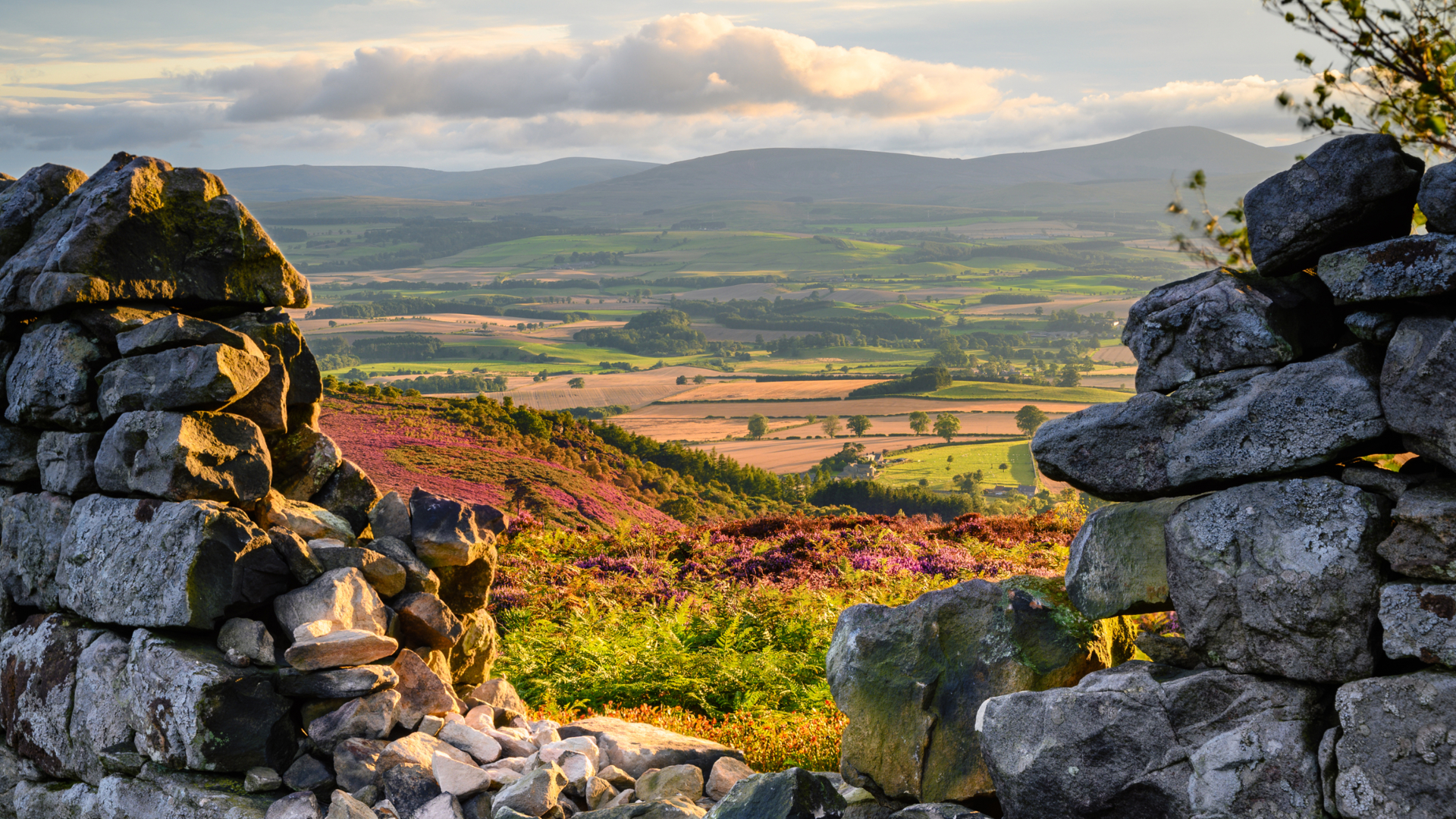 Adobestock 288899724