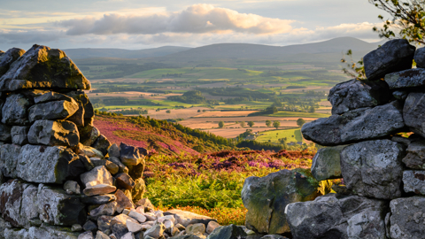 Adobestock 288899724